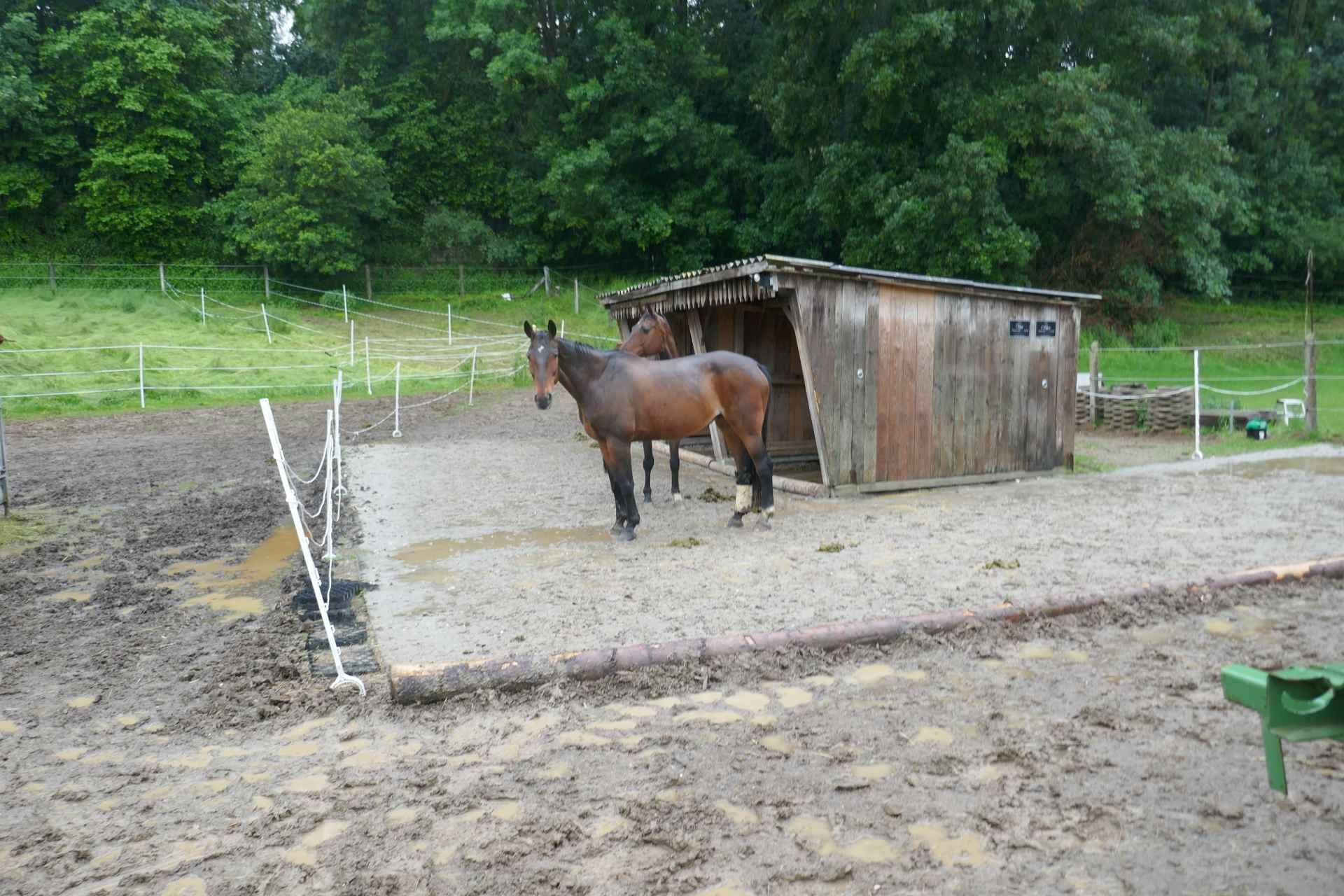 05 Albschäferweg - 2 Tages Wanderung im Juni